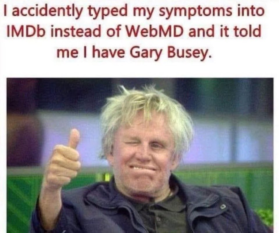 Gary Busey meme
