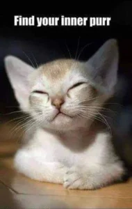 inner purr